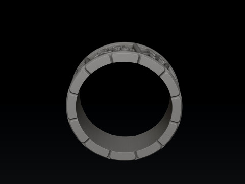 Horoscope Aquarius Ring v2 3D print model 3D Принт Модель