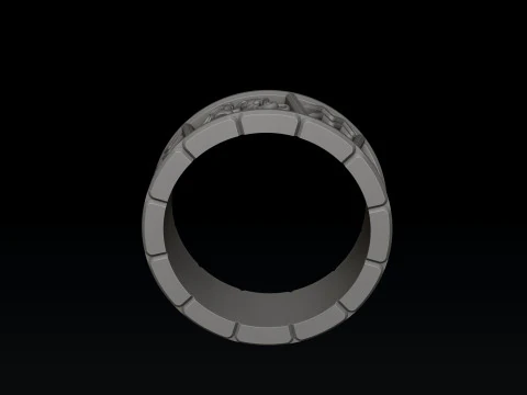 Horoscope Aquarius Ring v2 3D print model 3D Print Model