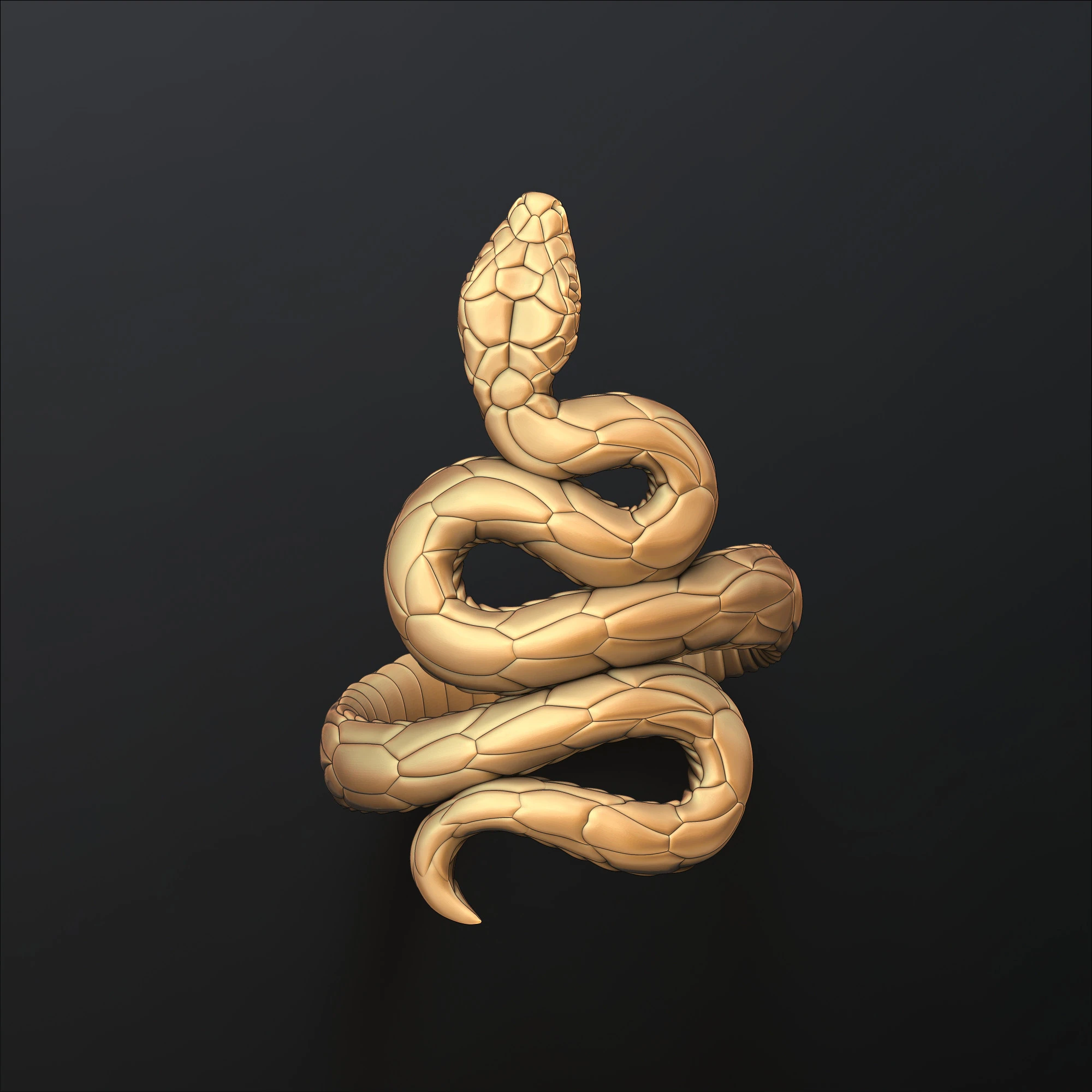 Snake Ring v3 3D print model 3D Print Model .c4d .max .obj .3ds .fbx .stl .blend 