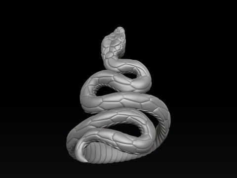 Snake Ring pendant v3 Collection 3D 프린트 모델