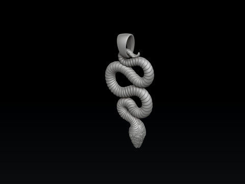 Snake Ring pendant v3 Collection 3D 프린트 모델
