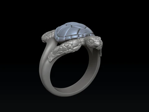Turtle Ring Pendant Collection 3D Print Model