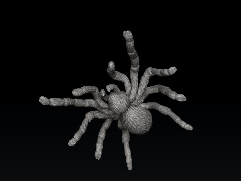 Spider Pendant v2 3D print model 3D printmodel