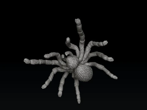 Spider Pendant v2 3D print model 3D Print Model