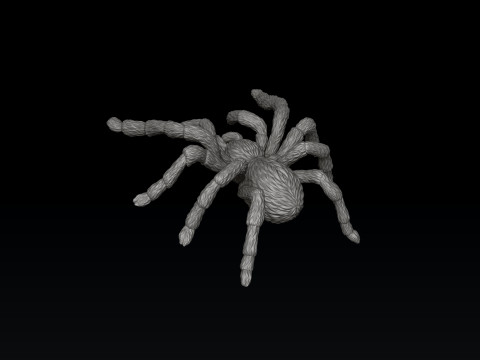 Spider Pendant v2 3D print model 3D printmodel