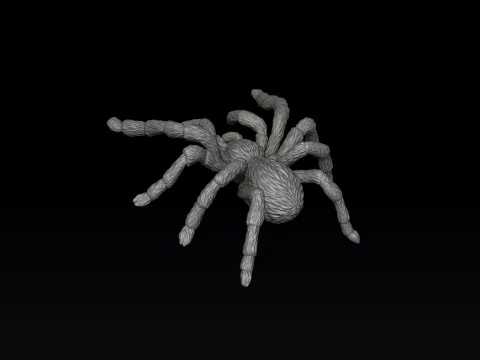 Spider Pendant v2 3D print model 3D Print Model