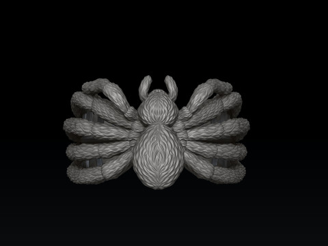 Spider Ring v2 3D print model 3D printmodel