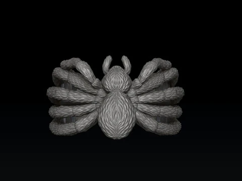 スパイダー リング v2 3D プリント モデル 3Dプリントモデル