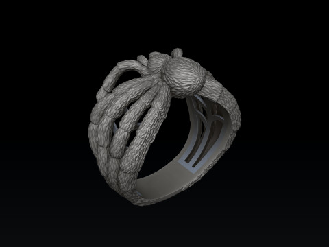Spider Ring v2 3D print model 3D printmodel