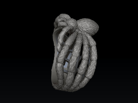 Spider Ring v2 3D print model 3D printmodel