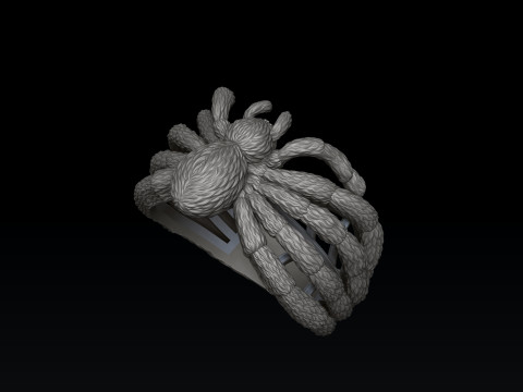 Spider Ring v2 3D print model 3D printmodel