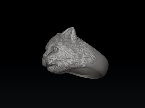 Cat Ring 3D print model 3D 模型