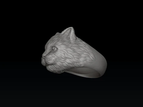 Modelo de impress&atilde;o 3D do anel de gato Modelo 3D
