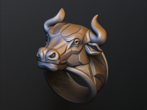 Bull Ring v2 3D print model 3D प्रिंट मॉडल