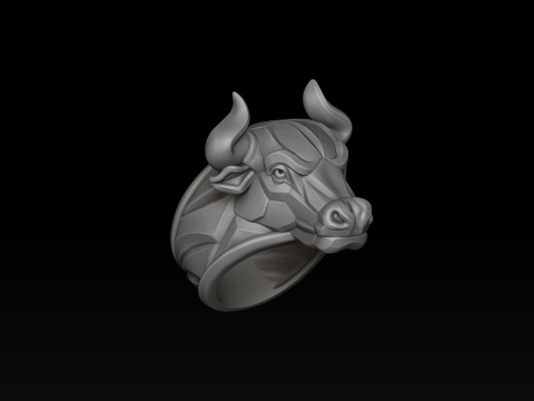 Bull Ring v2 3D print model 3D 打印模型