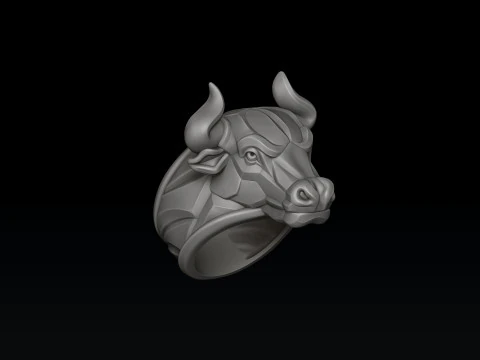 Bull Ring v2 3D print model 3D Print Model