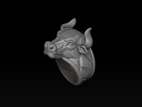 Bull Ring v2 3D print model 3D 打印模型