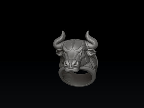 Bull Ring v2 3D print model 3D 打印模型