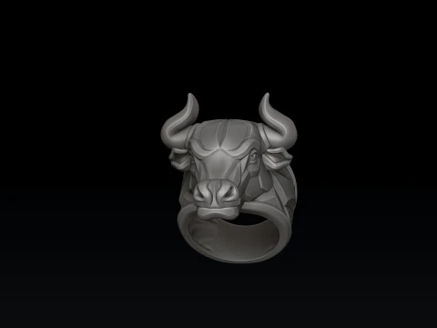 Bull Ring v2 3D print model 3D Print Model