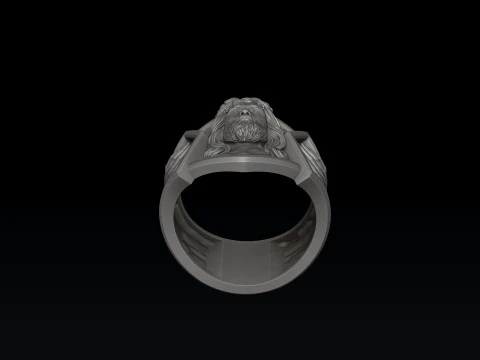 Jesus Head Praying Hands Ring 3D print model 3D Print Model