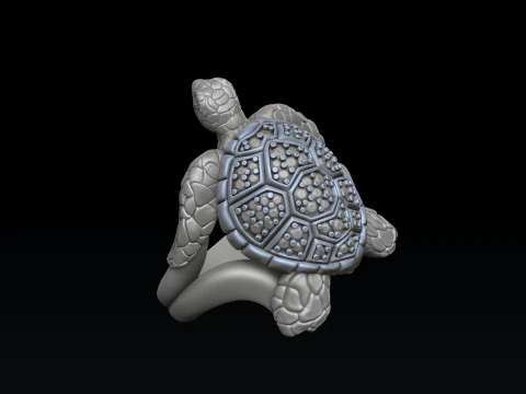 Turtle Ring With Gems 3D print model 3D Print Model