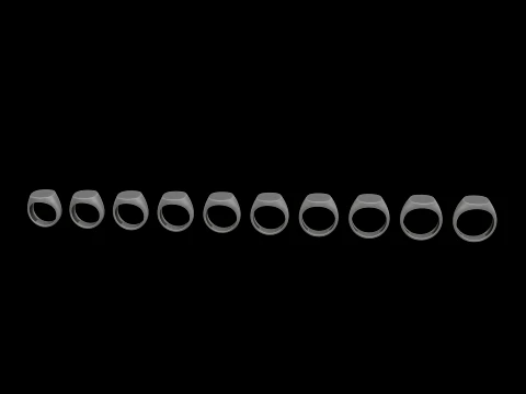 쥬얼리 인장 반지 v2 M 사이즈 3D 프린트 모델 3D 프린트 모델
