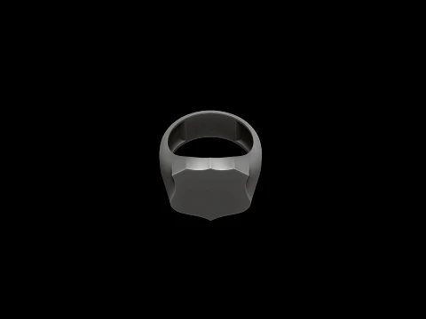 Jewelry Signet Ring v3 L Size 3D print model 3D Print Model