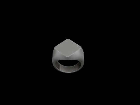 Jewelry Signet Ring v5 L Size 3D print model 3D Print Model