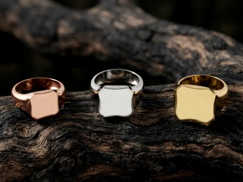 Jewelry Signet Ring v8 S M L Sizes Pack 3D Print Model