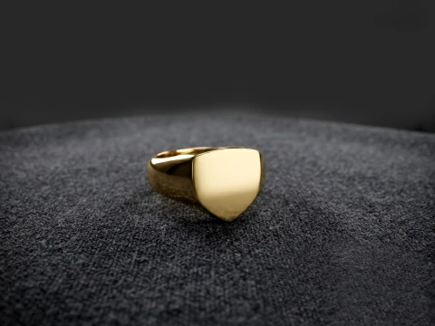 Jewelry Signet Ring v9 L Size 3D print model 3D Print Model