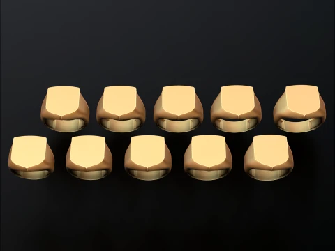 Sieraden zegelring v10 L-formaat 3D-printmodel 3D printmodel