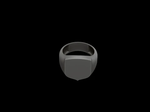 Jewelry Signet Ring v10 L Size 3D print model 3D Print Model