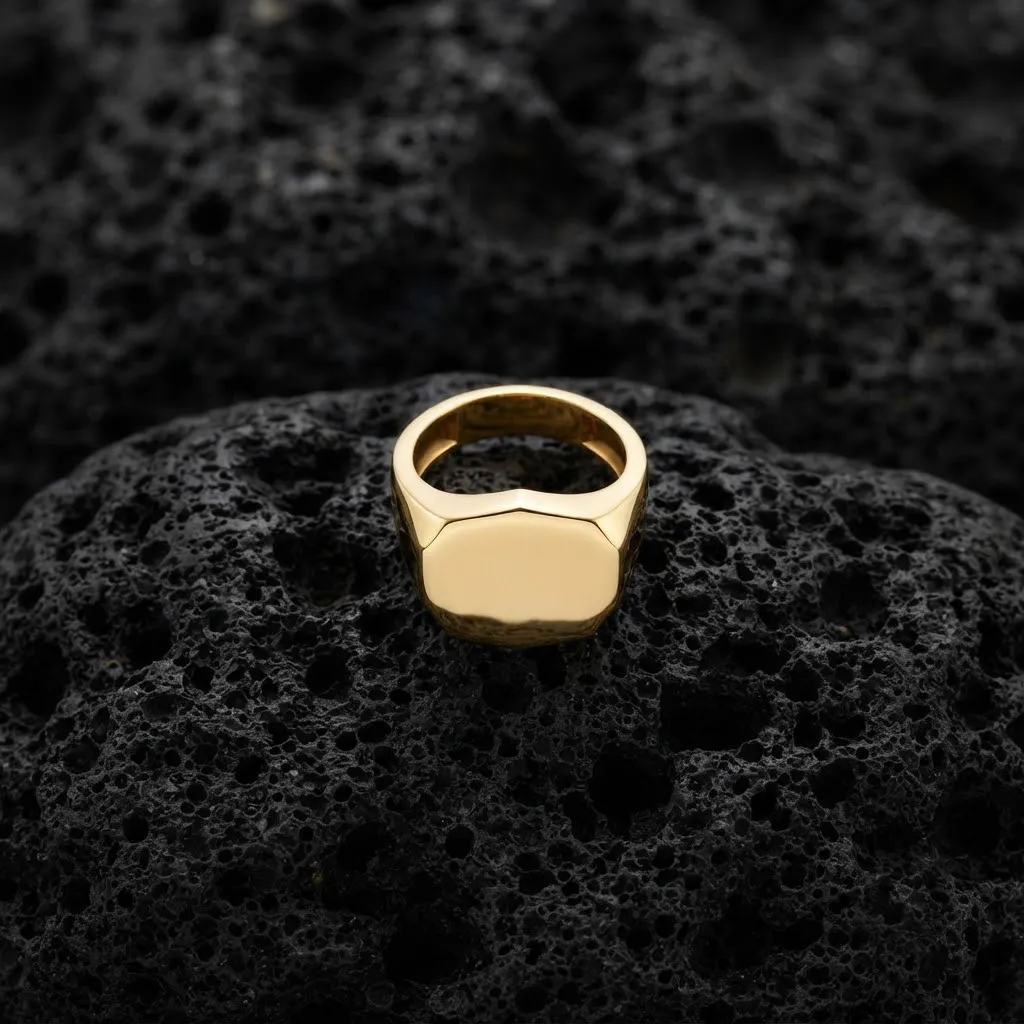 Jewelry Signet Ring v14 L Size 3D print model 3D Print Model .c4d .max .obj .3ds .fbx .stl .blend 