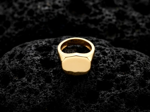 Jewelry Signet Ring v14 L Size 3D print model 3D Print Model
