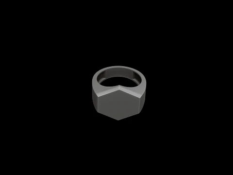 Jewelry Signet Ring v15 L Size 3D print model 3D Print Model