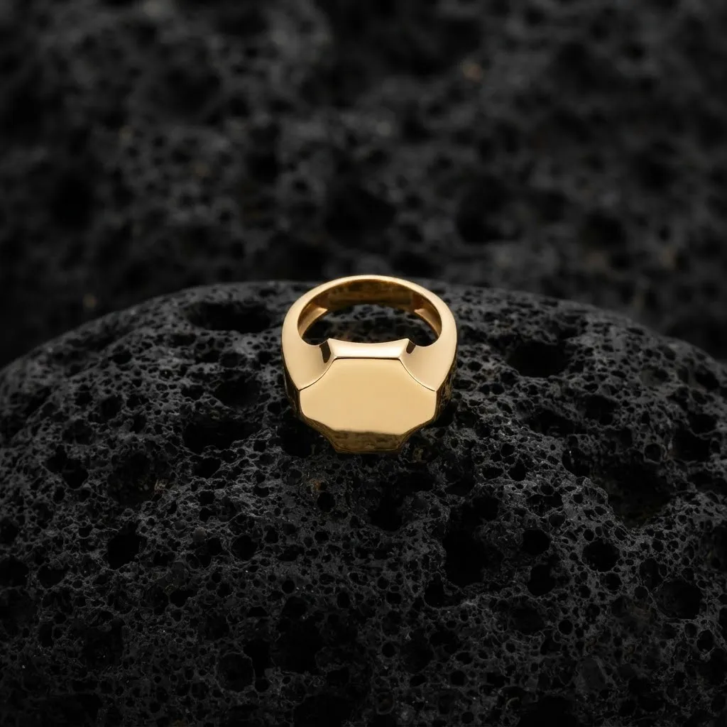Jewelry Signet Ring v16 L Size 3D print model 3D Print Model .c4d .max .obj .3ds .fbx .stl .blend