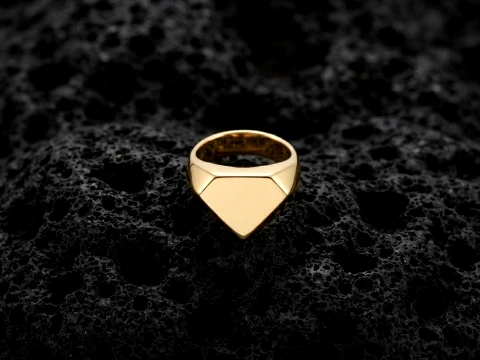 Jewelry Signet Ring v17 L Size 3D print model 3D Print Model