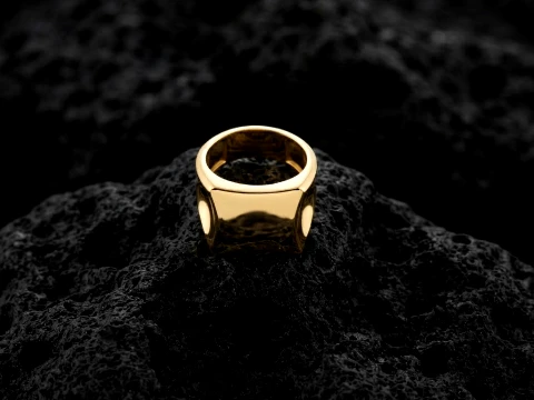 Jewelry Signet Ring v18 L Size 3D print model 3D Print Model