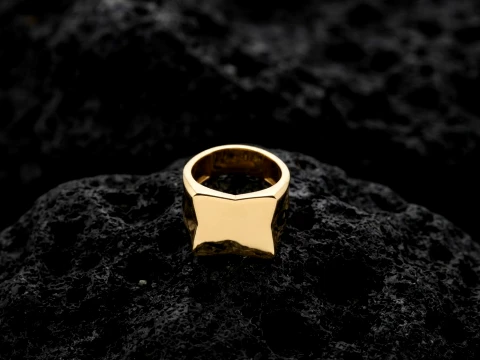 Jewelry Signet Ring v19 L Size 3D print model 3D Print Model
