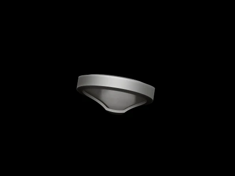 Anello con sigillo per gioielli v20 Modello di stampa 3D taglia S Modello di stampa 3D