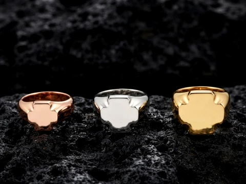 Jewelry Signet Ring v21 S M L Sizes Pack 3D Print Model