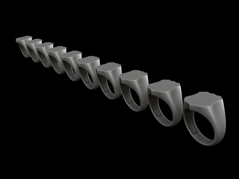 Anello con sigillo per gioielli v22 Modello di stampa 3D taglia L Modello di stampa 3D