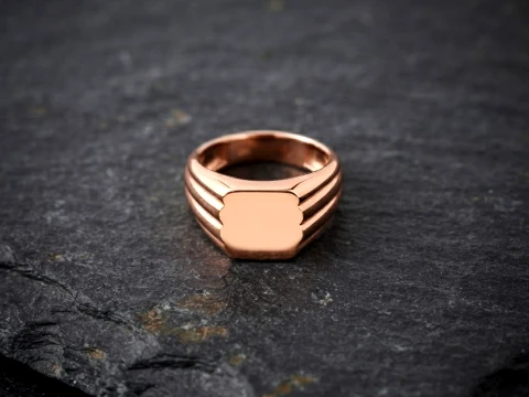 Jewelry Signet Ring v23 S Size 3D print model 3D Print Model