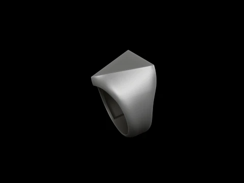 Jewelry Signet Ring v24 L Size 3D print model 3D Print Model