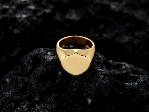 Jewelry Signet Ring v25 L Size 3D print model 3D Print Model