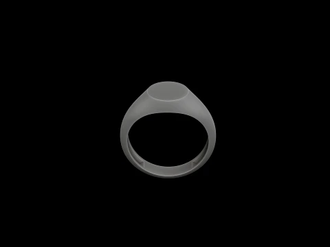 Jewelry Ring v1 L Size 3D print model 3D Print Model