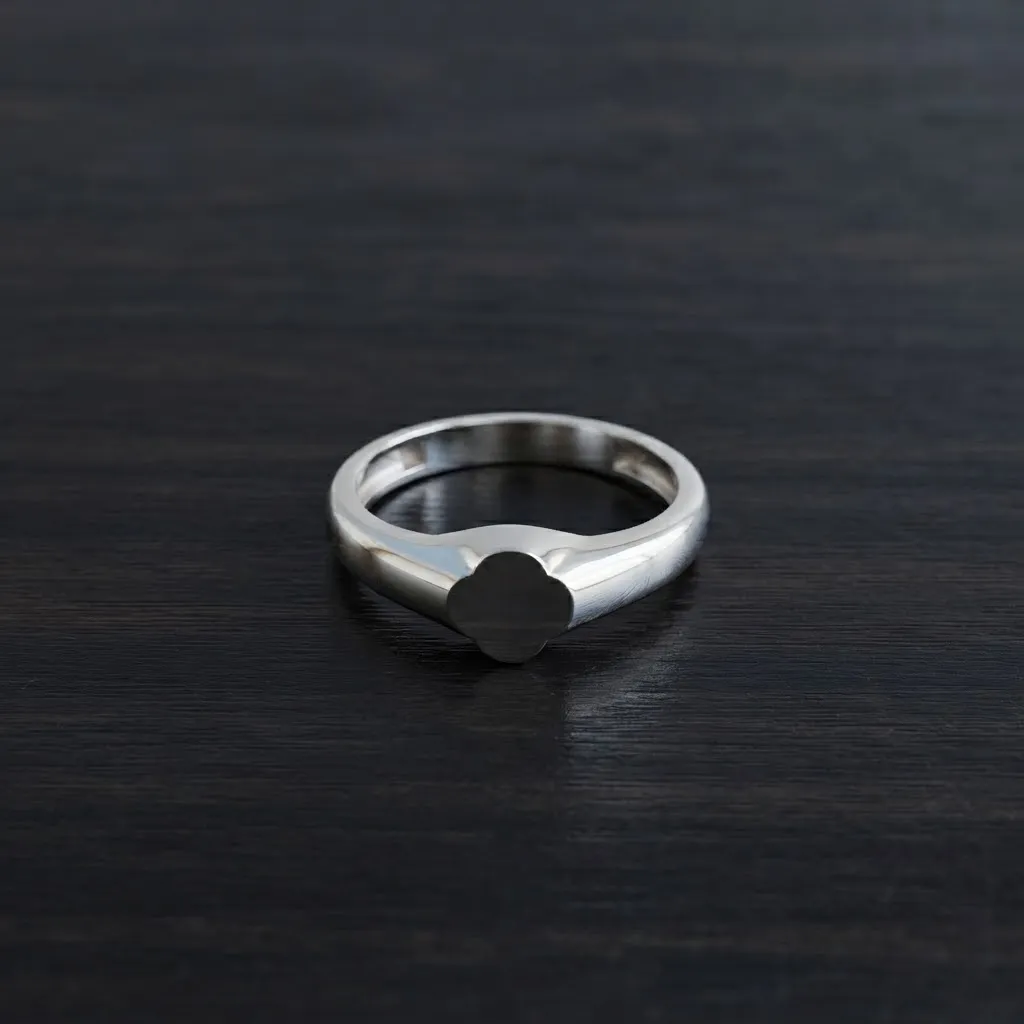 Jewelry Ring v2 M Size 3D print model 3D Print Model .c4d .max .obj .3ds .fbx .stl .blend 