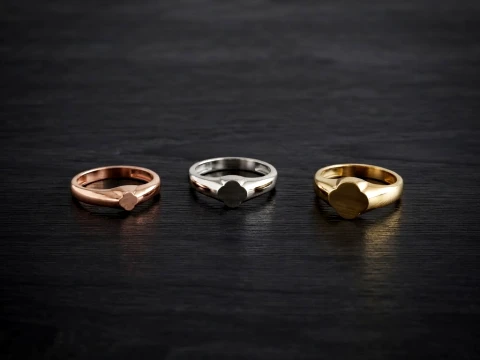 Jewelry Ring v2 S M L Sizes Pack 3D Print Model