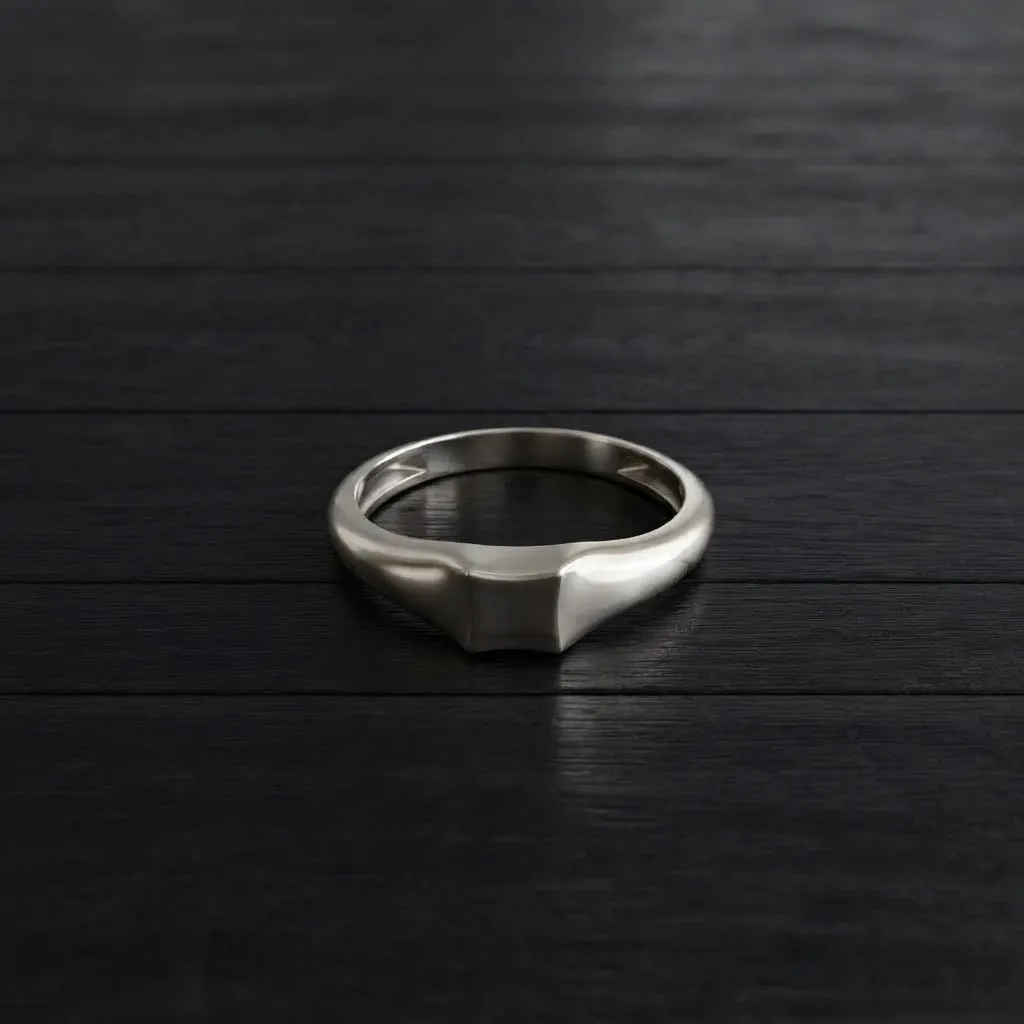 Jewelry Ring v3 M Size 3D print model 3D Print Model .c4d .max .obj .3ds .fbx .stl .blend 