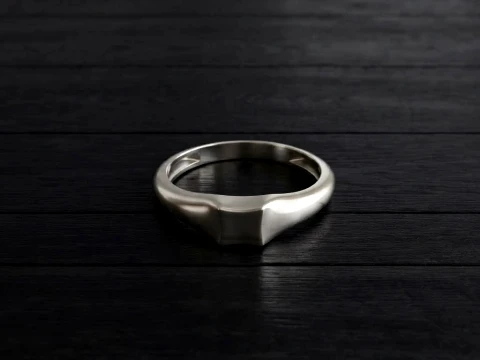 Jewelry Ring v3 M Size 3D print model 3Dプリントモデル